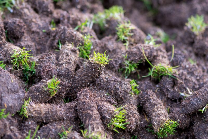 Cost of Top Soil Spreading — Cost of Top Soil Spreading